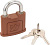 17557