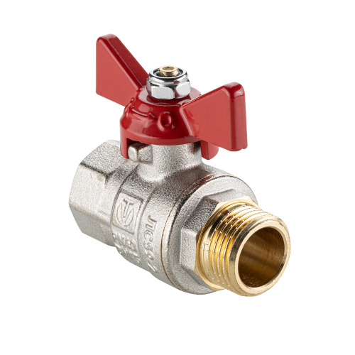 40569