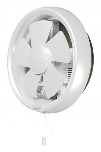 41229